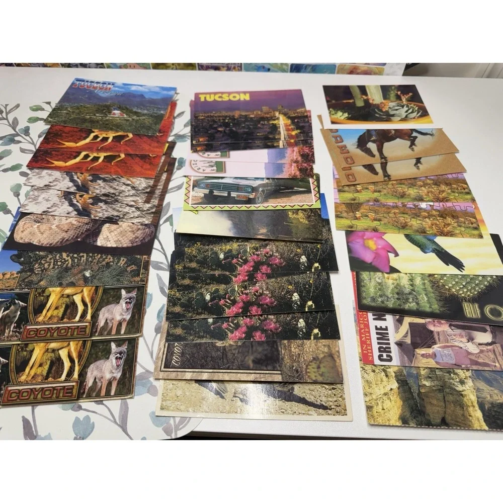 Vintage Arizona Postcards‎ Lot of 30 Tucson Desert Wildlife Scenic 80s 90s